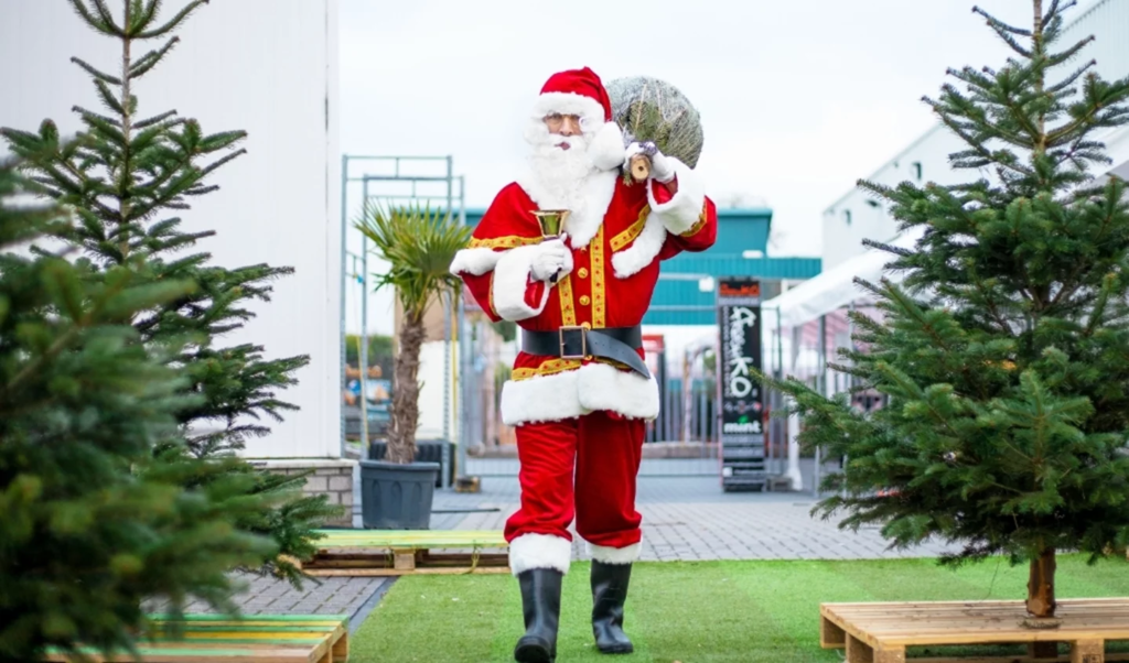 De Achtertuin opent Santa’s Drive-in voor kerstbomen | Phainyx Image
