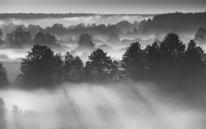 Wat zijn intrusive interstitials? | Phainyx Intrusive interstitial