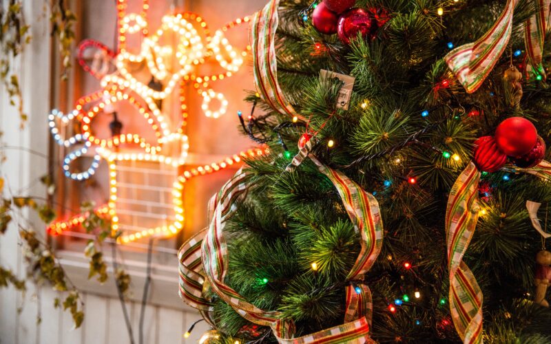De geschiedenis van de kerstboom: waar komt de traditie vandaan? | Phainyx Pexels toni cuenca 688573